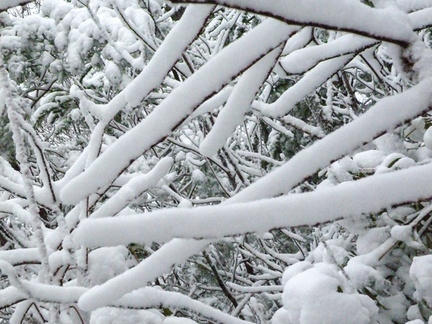 Snow on the Rough Trail